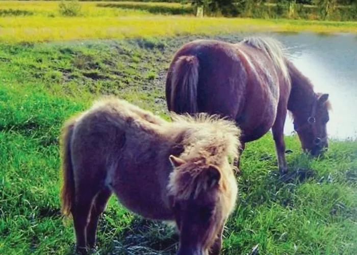 Belle Vue Tatil Evi *